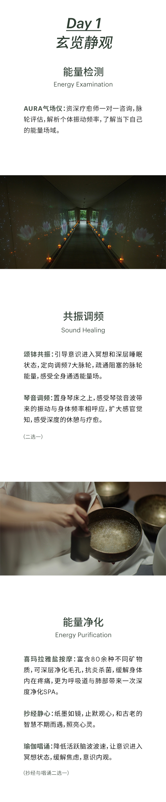 水中天之旅 SANGHA Journey